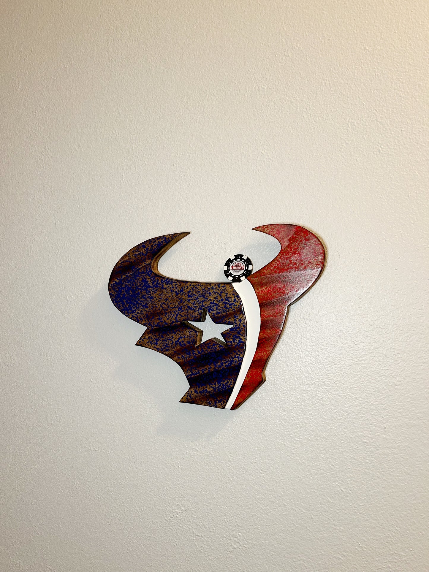 Houston Texans 1/1