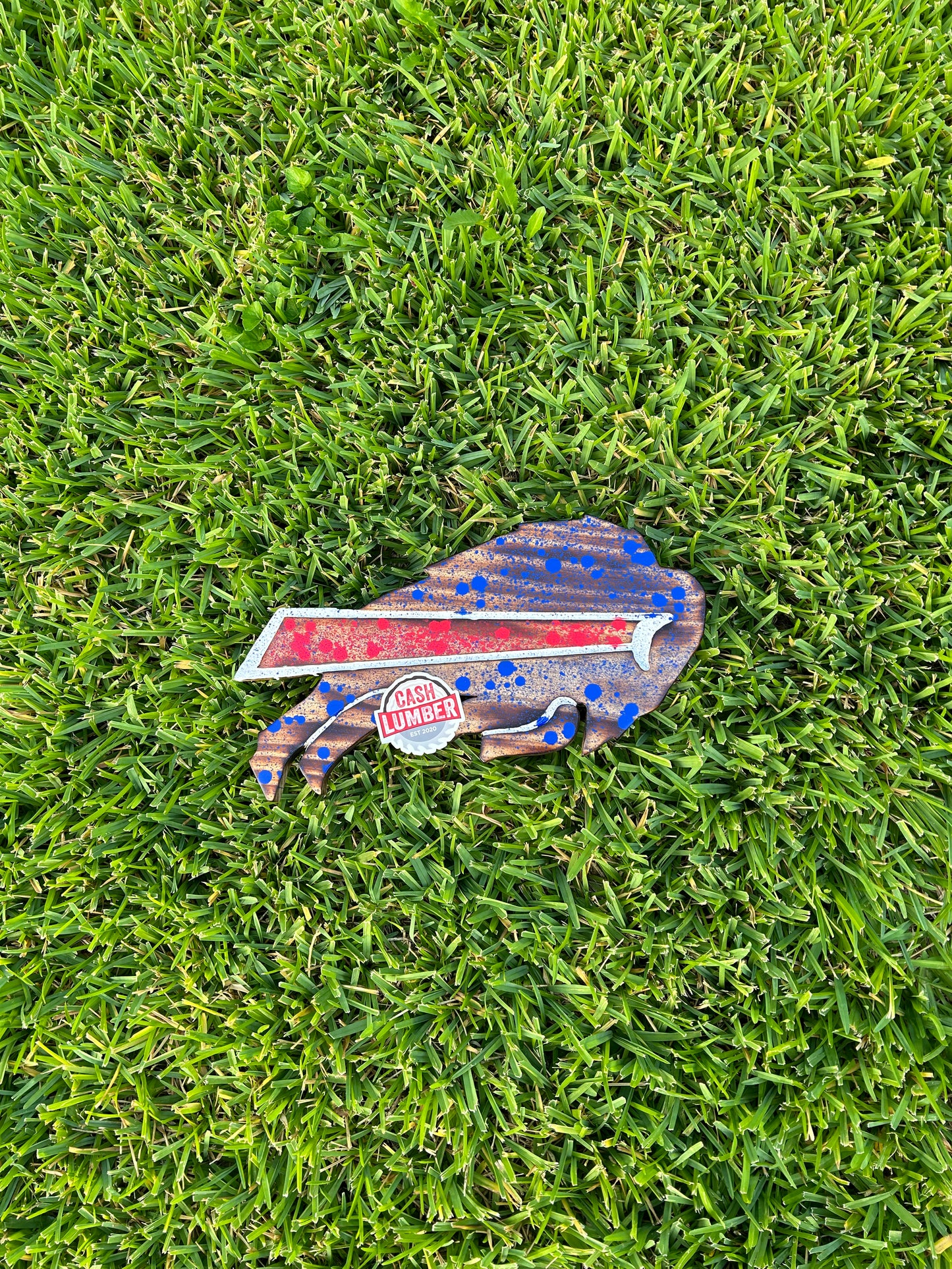 Buffalo Bills Football 1/1