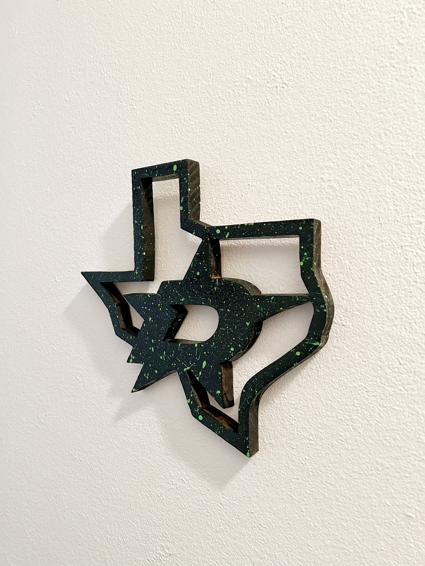 Dallas Hockey 1/1